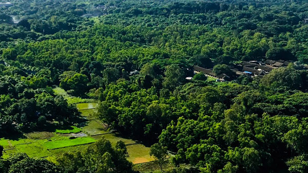 Aarey Colony