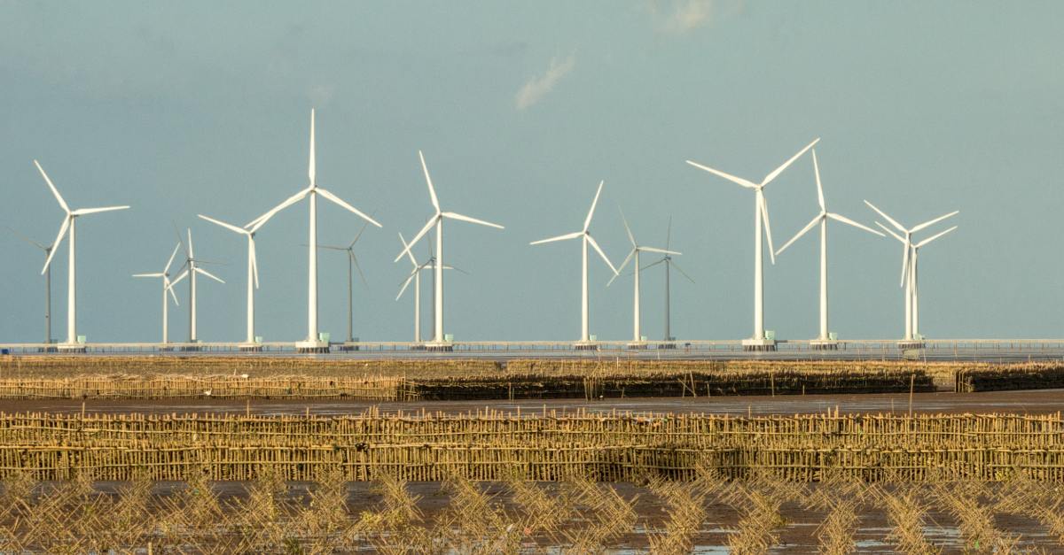 wind farm